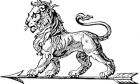 Vartotojo avataras