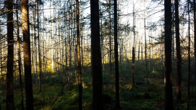 20141018_151346.jpg
