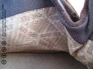 goretexfabric.jpg