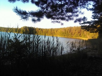 IMG_20160827_071354.jpg
