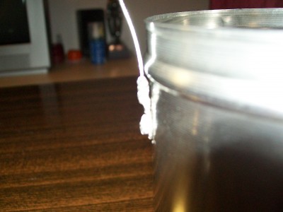 100_3853.JPG