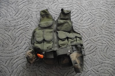 viper 001.jpg